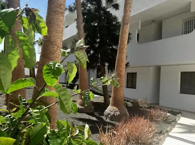 Casa Tropical 公寓 科斯塔德安提瓜